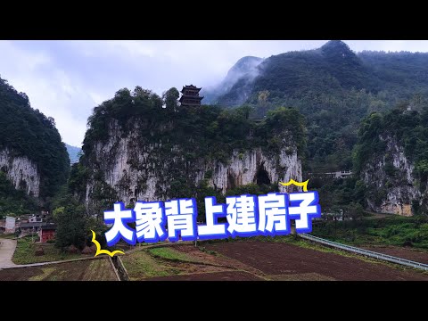 Видео: Строить дом на спине слона — это просто потрясающе!