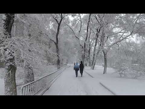 Видео: Падал снег на Уссурийск. Стихи о снеге (новая версия).