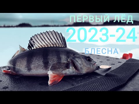 Видео: Открытие сезона зимней рыбалки на блесну 2023-2024г. Болотное озеро.