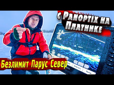 Видео: Форель на Безлимите | Ловля на Платнике | Паноптикс