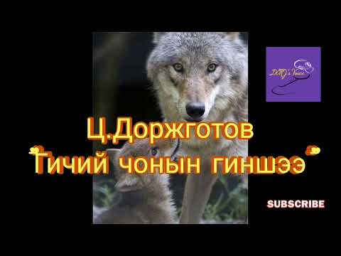 Видео: Ц.Доржготов "Гичий чонын гиншээ" өгүүллэг