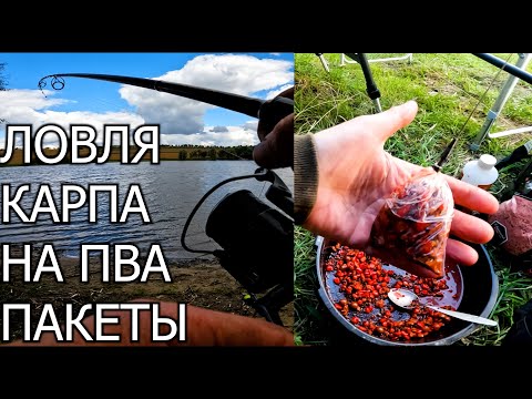 Видео: РЫБАЛКА НА ПВА ПАКЕТЫ | ЛОВЛЯ КАРПА ОСЕНЬЮ.