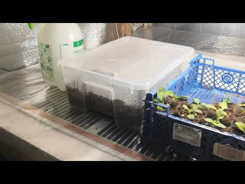 Видео: Плёночный тёплый пол в череночнике