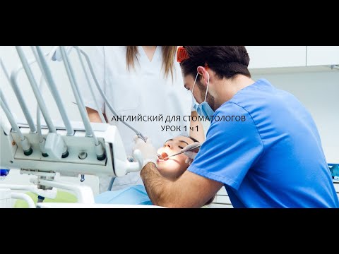 Видео: Английский язык для стоматологов урок 1 часть 1