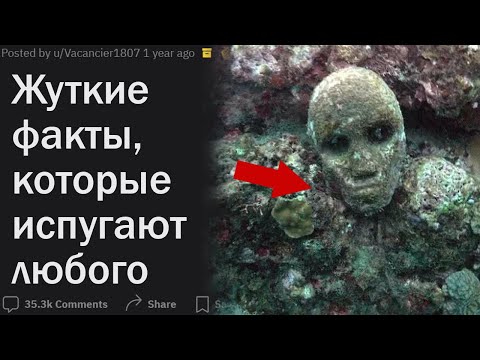 Видео: Какие жуткие факты испугают вообще любого?