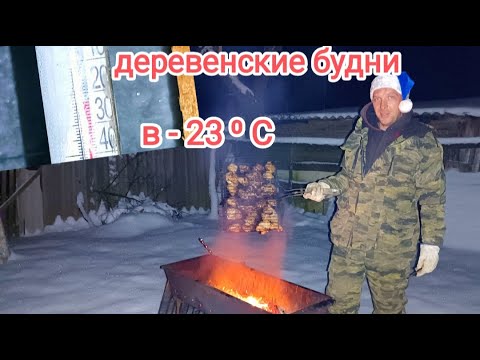 Видео: Почти -25°С , а мы топим дом, баню, теплицу и жарим шашлыки