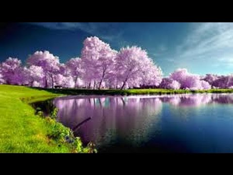 Видео: Хочи Мирзо-ам-040 Боби Абуханифа 1