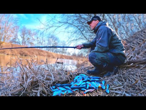 Видео: Відкрив сезон Поплавка !!! ПЛОТВА на кожному закиді !!!