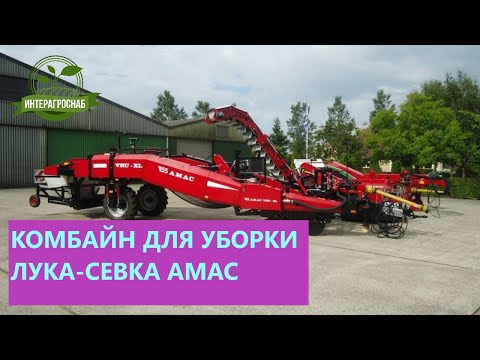 Видео: КАК УБИРАЮТ ЛУК-СЕВОК В НИДЕРЛАНДАХ. #луксевок #лук #лук_севок #комбайн #интерагроснаб #уборка_лука