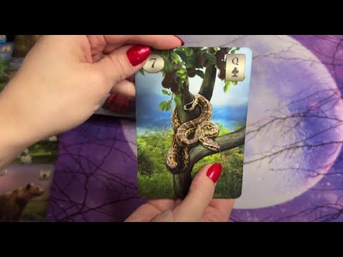 Видео: ⚡КАРТА ЗМЕЯ ЛЕНОРМАН🐍 ЗНАЧЕНИЕ ОТДЕЛЬНО ВЗЯТОЙ КАРТЫ И В СОЧЕТАНИЯХ🧡