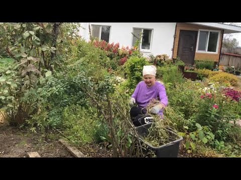 Видео: Одна в деревне/ Мой осенний цветник/