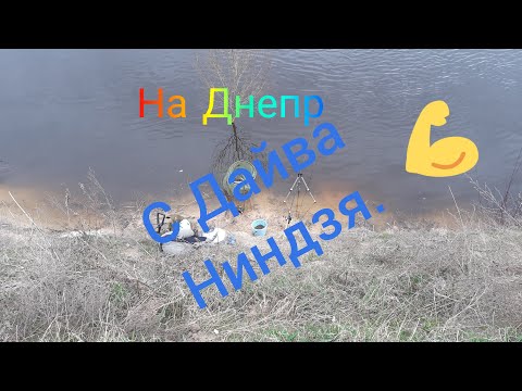 Видео: На Днепр с Дайва Ниндзя. Ловим на фидер.