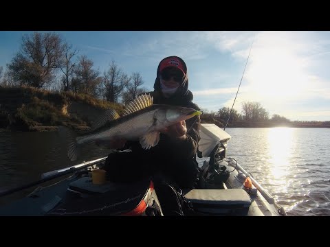 Видео: ЛУЧШАЯ РЫБАЛКА В ЖИЗНИ! Трофейная рыбалка на спиннинг с лодки! #рыбалка #72 #спиннинг #джиг #хищник