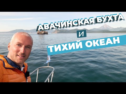 Видео: Авачинская бухта и Тихий океан / Зоткингид