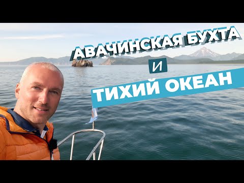 Видео: Авачинская бухта и Тихий океан