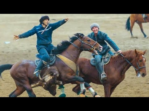 Видео: Кўконда Улок, КАРИМ  полвон мухлисларига нима дейди..