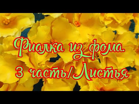 Видео: ФИАЛКА ИЗ ФОМА /3 ЧАСТЬ / ЛИСТЬЯ