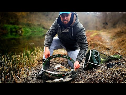 Видео: ЗАКАЧИХ ОГРОМНА РИБА! РАЗБИХ МРЕНИТЕ на ПЛУВКА!