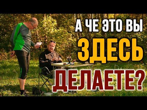 Видео: Радио охота на DX в осеннем лесу. 