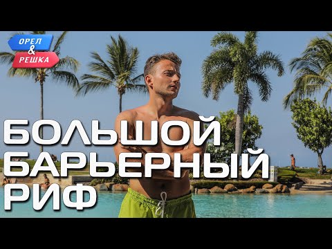 Видео: Большой Барьерный риф, Австралия. Орёл и Решка. Чудеса света (eng, rus sub)