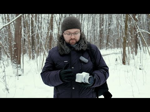 Видео: Плюсы и минусы Canon 200D за 4 месяца использования