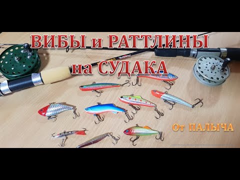 Видео: ЗИМНИЕ ВИБЫ и РАТТЛИНЫ на СУДАКА (от ПАЛЫЧА)