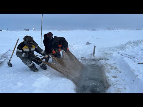 Видео: Отшельники острова Ых-миф. Коренные народы Сахалина: нивхи и уйльта. Экспедиция Юлии Корневой