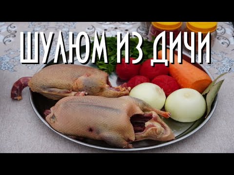 Видео: Шулюм охотничий в казане