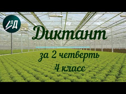 Видео: Диктант по русскому языку 4 класс за 2 четверть с проверкой