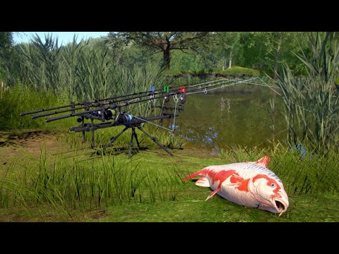 Видео: Русская Рыбалка 4 Стрим🔴ТРОФЕИ! БЕЗУМНЫЙ КЛЕВ! И ЕЩЕ МНОГО ЧЕГО ВЫ НЕ УВИДИТЕ!)