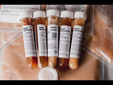 Видео: ПЕРВЫЙ ОПЫТ С ЖИДКИМИ ДРОЖЖАМИ!