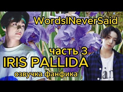 Видео: IRIS PALLIDA/ WordsINeverSaid / часть 3-4/ #bts #фанфикибтс #озвучкафф #вигуки #юнсоки