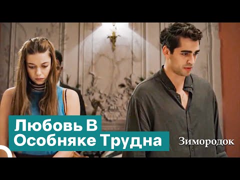 Видео: Мы Все Наши Ссоры Устраиваем Перед Семьей | Зимородок