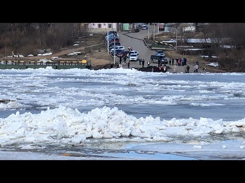 Видео: ЛЕДОХОД НА ОКЕ 2021 ГОД