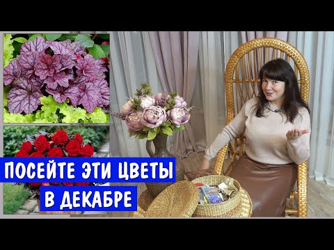 Видео: Эти ЦВЕТЫ надо посеять уже в ДЕКАБРЕ! Иначе будет 100% поздно.