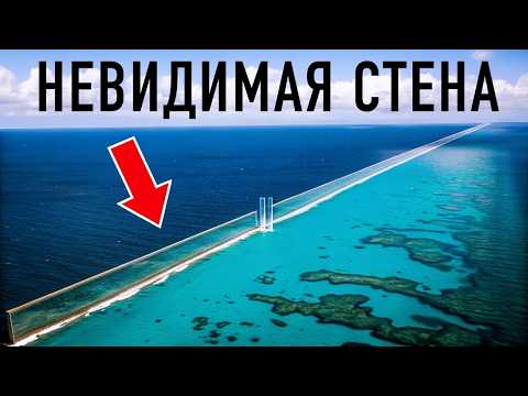 Видео: 100 Научных Фактов, о Которых Вы точно не Знали