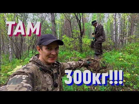 Видео: НАШЛИ 300кг Одним Сигналом!!! Копаем с Отцом металл в Лесу!!!!! 