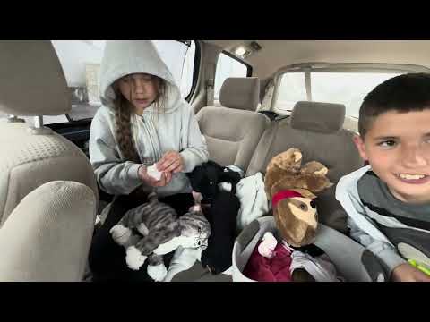 Видео: 2 день. Вечер. Доехали до Гранд каньон . Grand Canyon , Arizona.  18 апреля 2025.