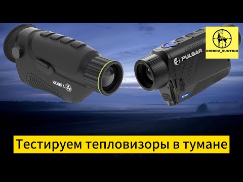Видео: Тест тепловизоров Pulsar и Arkon в тумане