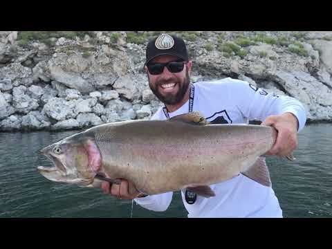 Видео: Пирамид-Лейк, Лахонтанская форель-головорез! | (Часть 1 из 2) | Методы ловли! | История озера и р...