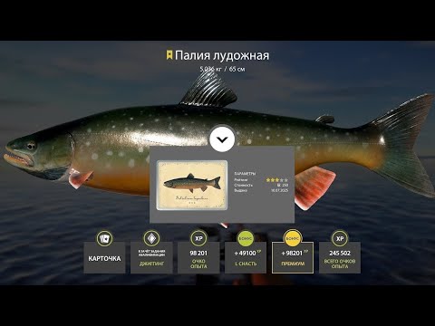 Видео: 📢СТРИМ РР4🔥ВЕЧЕРНЯЯ ПЯТНИЦА НА РЫБАЛКЕ🔥РУССКАЯ РЫБАЛКА 4