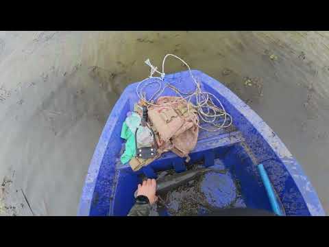 Видео: Потеряный трофей (охота с рогаткой)