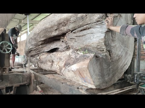 Видео: Рискуя жизнью ради деревянных плит! ⚡