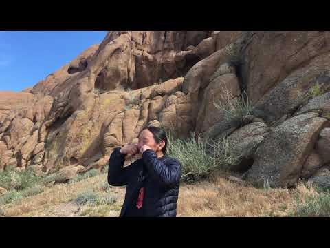 Видео: Хомус Кулана звучит в монгольской степи