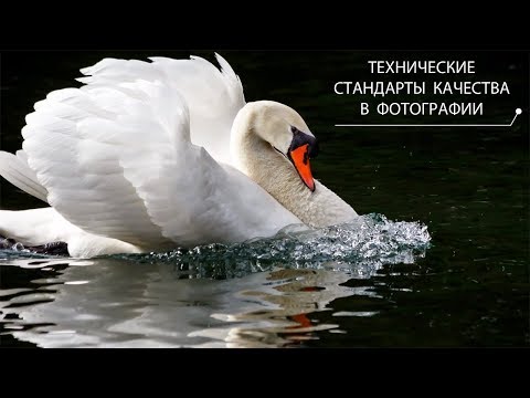 Видео: Хроматические аберрации. Демонстрационный урок из курса «Стандарты качества в фотографии»