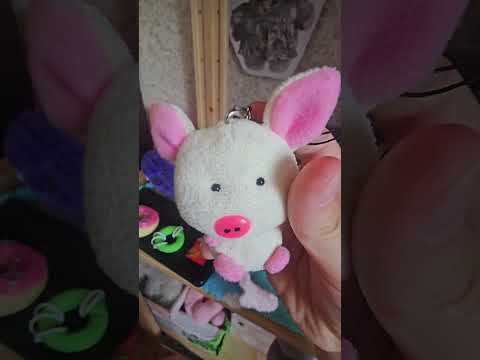 Видео: обзор на игрушки для плюшевых собачек ⭐#собака