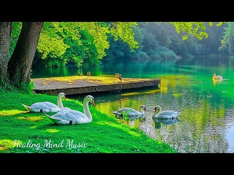 Видео: Красивая целебная музыка 🌿 Расслабляющая фортепианная музыка и звуки природы для снятия стресса