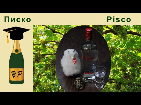 Видео: Писко