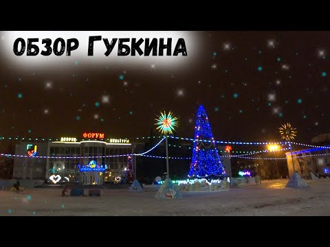 Видео: обзор Губкина