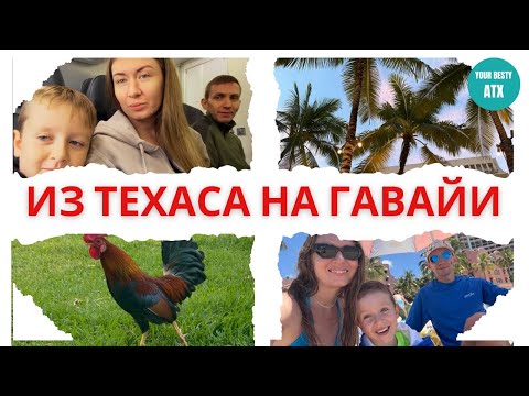 Видео: №1 Мы это сделали | Перелет на Гавайи | Первые впечатления
